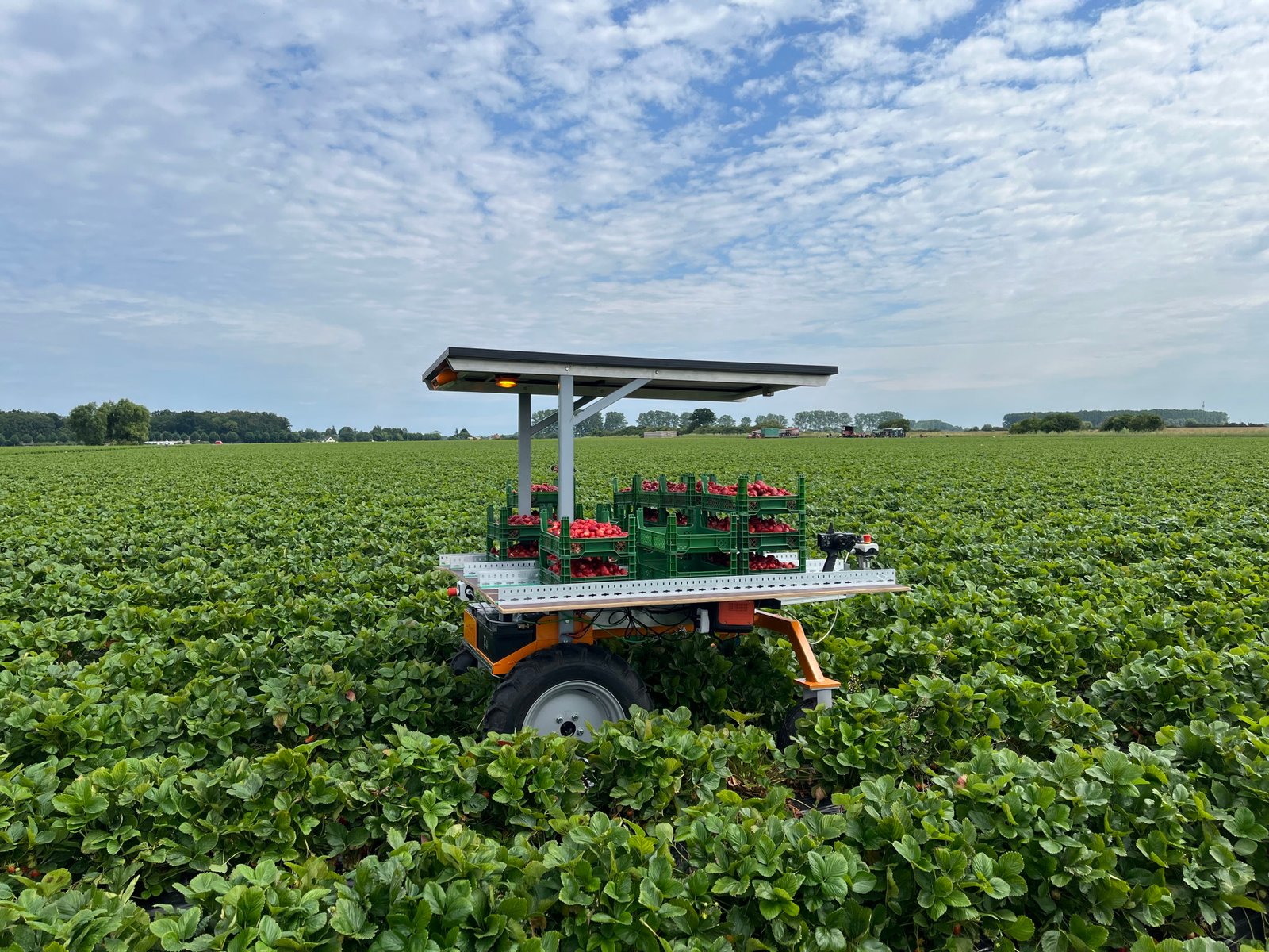 Ant Robotics GmbH – Bioeconomy Ventures – Platform